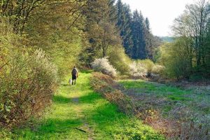 wandelen Eifel